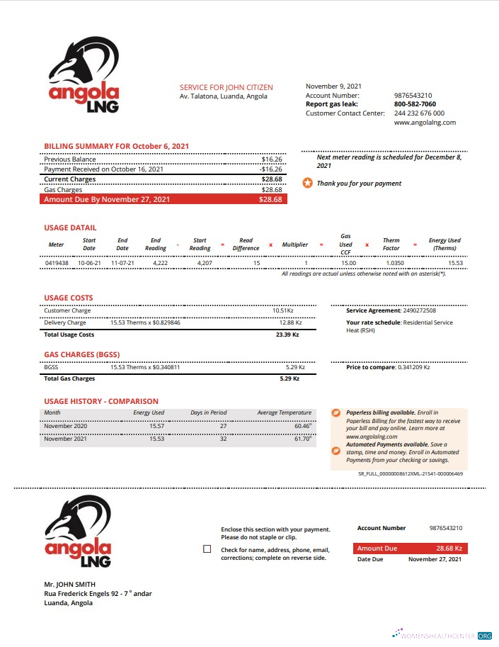 download download Angola LNG proof of address utility bill template in Word and PDF format PDF template PDF template